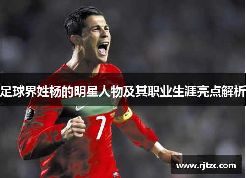 足球界姓杨的明星人物及其职业生涯亮点解析